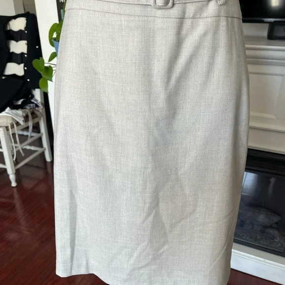 Elegant Beige Skirt Suit Set - Picture 4 of 5